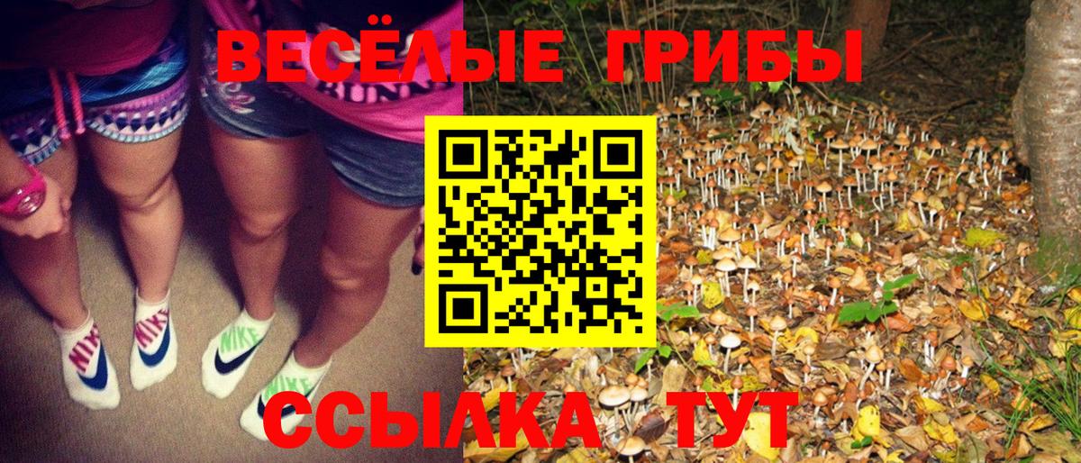 Анапа  Галлюциногенные грибы Psilocybe  Вход с VPN  Галлюциногенные грибы Psilocybe 