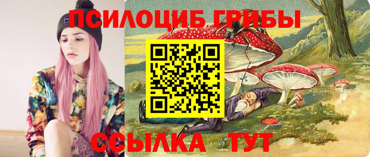 Галлюциногенные грибы Cubensis Анапа